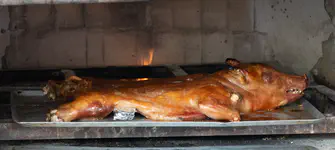 Roast whole suckling pig