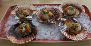 Grilled scallops (hot!)
