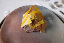 ZgotmplZ