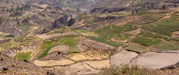 Terraces