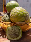 "Sanky" cactus fruit