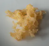 Tempura, shrimp and vegetables