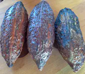 Fermented cacao pods