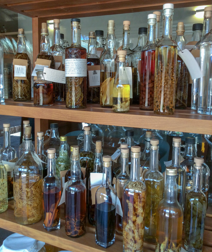 Ferments and infusions