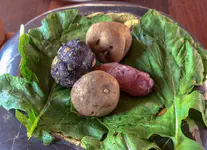 Potatoes, olluco, mashua. Cooked in a traditional oven