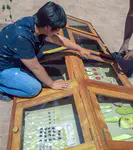 Solar dehydrator