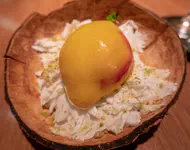 Mango sorbet over candy shell filled with coconut cream served on a base of pistachio kulfi.
