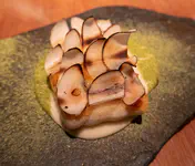 Paiche with brazil nut "scales" and machuca (mashed plaintain) on fermented yuca.
