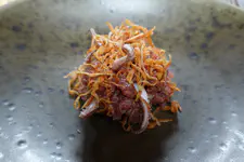 Cured duck, Squid tentacles, and kaniwha