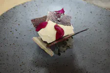 Purple mashwa ice cream, pitahaya (dragon fruit), mashwa skin crisp