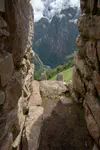 Window view