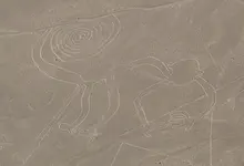 The monkey