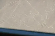 The Pelican