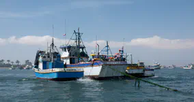 Port of paracas