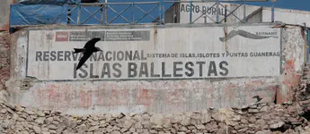 Guano facility
